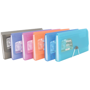 ACORDEON P/CHECK, 12 DIV SURTIDO