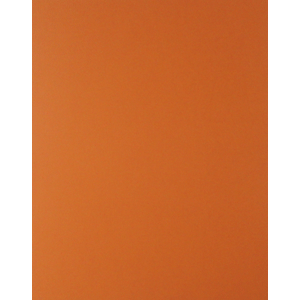 CARTULINA NARANJA ROYAL CAST 65X50 CM 170G FASHION 938