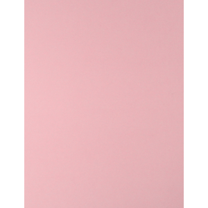 CARTULINA  ROSA 65X50 CM 170G FASHION 921