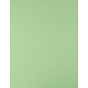 CARTULINA VERDE PALIDO 65X50 CM 170G FASHION 924