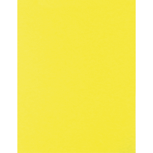 CARTULINA CANARIO ROYAL CAST 65X50 CM 170G FASHION 948