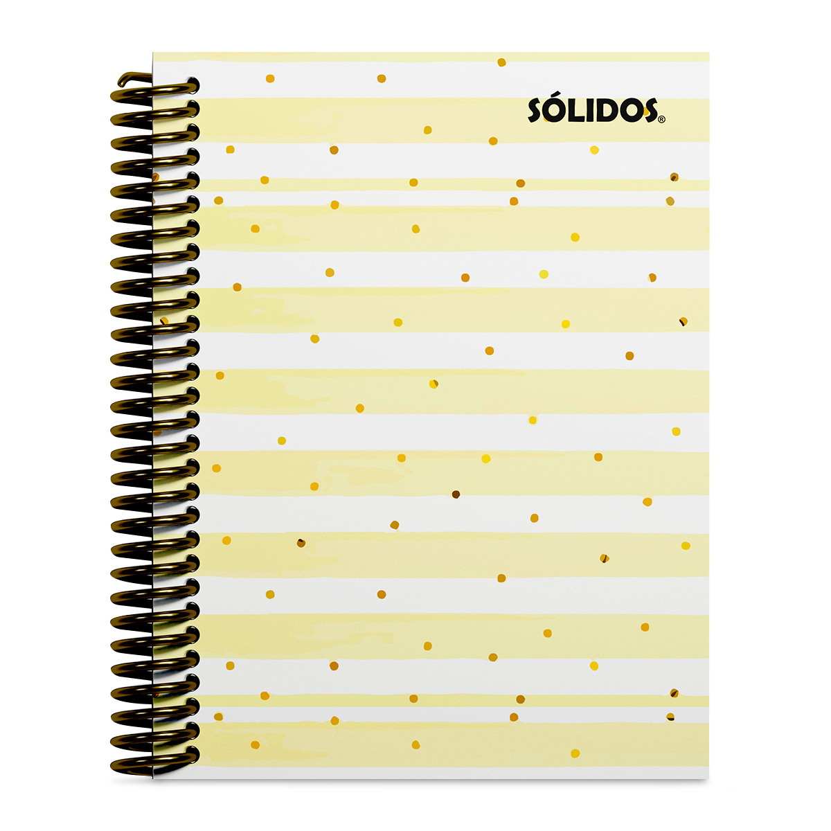 CUADERNO SOLIDO ESPIRAL 1/2 OFICIO PASTA DURA PUNTOS 100H LINEAS