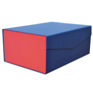 CAJA DE ARCHIVO AZUL CAJA DE ARCHIVO AZUL