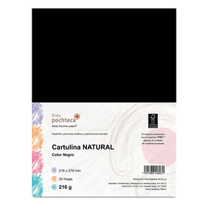 CARTULINA CARTA NEGRA 216 GRAMOS 30 U CARTULINA CARTA NEGRA 216 GRAMOS 30 U
