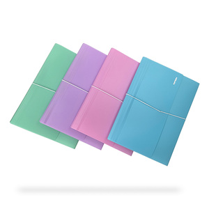 FOLDER EXPANDIBLE 13 DIVISIONES (COLECCION PASTEL, FOLDER EXPANDIBLE 13 DIVISIONES (COLECCION PASTEL,
