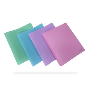 CARPETA 1""" COLORES PASTEL (ARILLO D, 3 ARRILLOS) CARPETA 1""" COLORES PASTEL (ARILLO D, 3 ARRILLOS)
