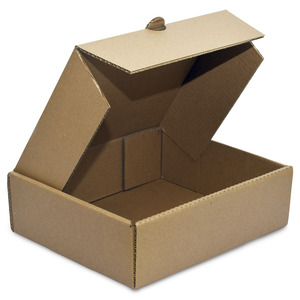 CAJA DELIVERY GRANDE (MEDIDAS: 30.5 X 28 X 10.2 CM) CAJA DELIVERY GRANDE (MEDIDAS: 30.5 X 28 X 10.2 CM)