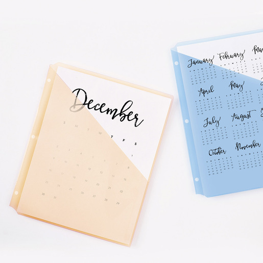 PROTECTOR DE HOJAS DE COLORES PAQ 5