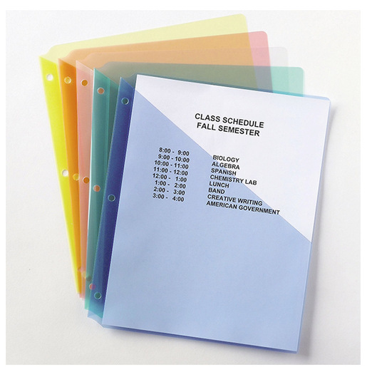 PROTECTOR DE HOJAS DE COLORES PAQ 5