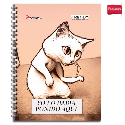Cuaderno con espiral marca Arimany de hojas de calidad para apuntes, tareas y notas. Espiral metalica resistente que permite girar las paginas 360 . Tipo de rayado: Cuadros.