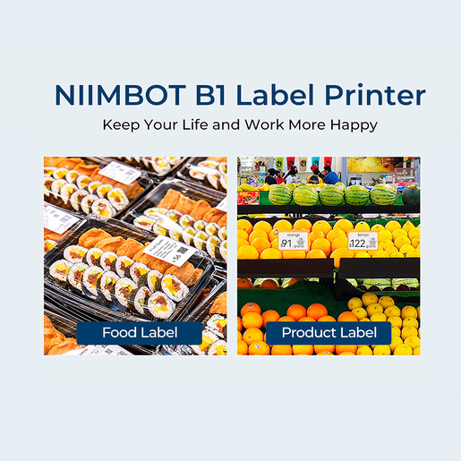 ETIQUETADORA/ROTULADORA NIIMBOT B1 AZUL