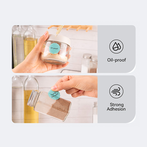 ETIQUETADORA/ROTULADORA NIIMBOT B1 AZUL